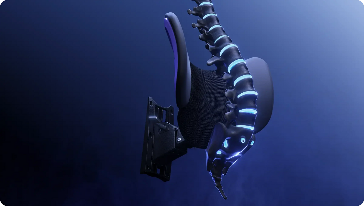 Lumbar Support Adjustment